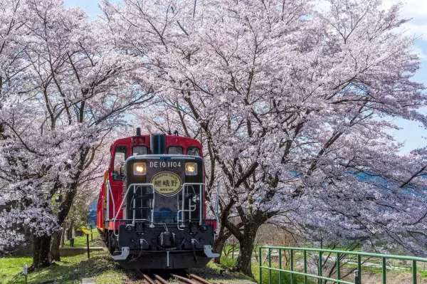 春の嵯峨野トロッコ列車と『パンとエスプレッソと』オリジナルセット