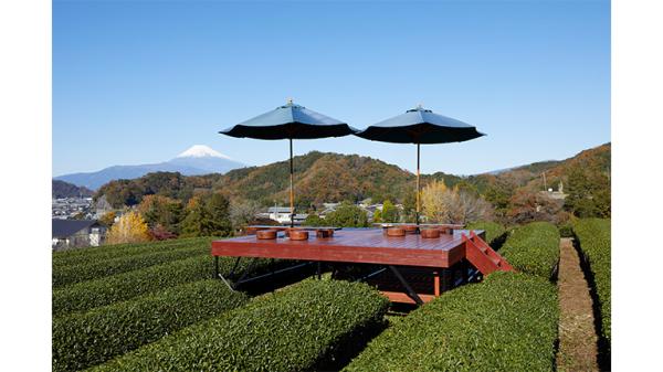 【富士山ビュー】茶畑に浮かぶ「天空のテラス」で味わうクラフトビールor静岡茶に浮かぶ「天空のテラス」で味わうクラフトビールor静岡茶