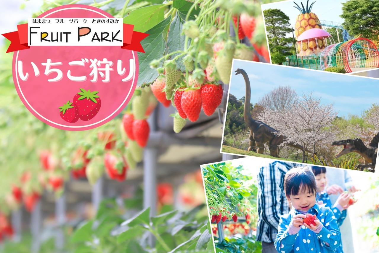 いちご狩り※イメージ　桜撮影：2021年3月