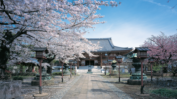 【上野の花見発祥地 上野寛永寺】 開山堂(両大師)特別体験と通常非公開「徳川将軍御霊廟」解説付き見学