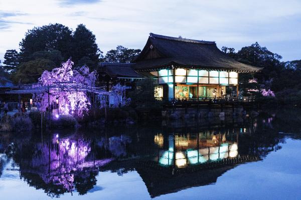 平安神宮　桜音夜　～紅しだれコンサート２０２５～　鑑賞券