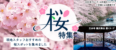 東海道沿線の美しい桜を見に出かけませんか？