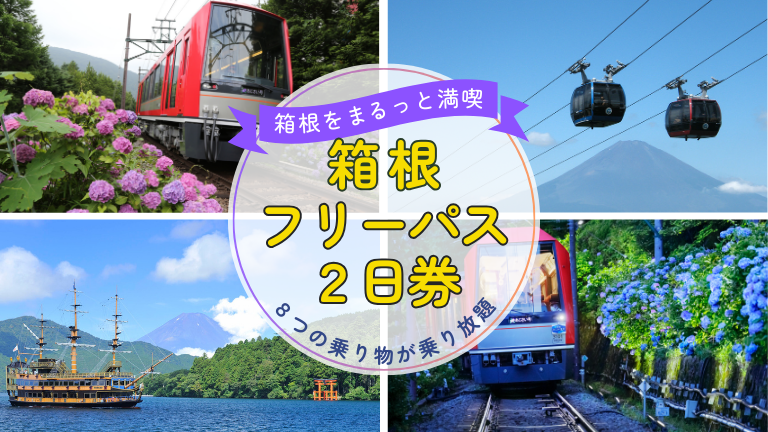 海賊船も！ロープウェイも！箱根エリアの8つの乗り物が乗り降り放題！！