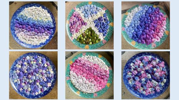 あじさいの花手水に癒される【一条恵観山荘】＠鎌倉